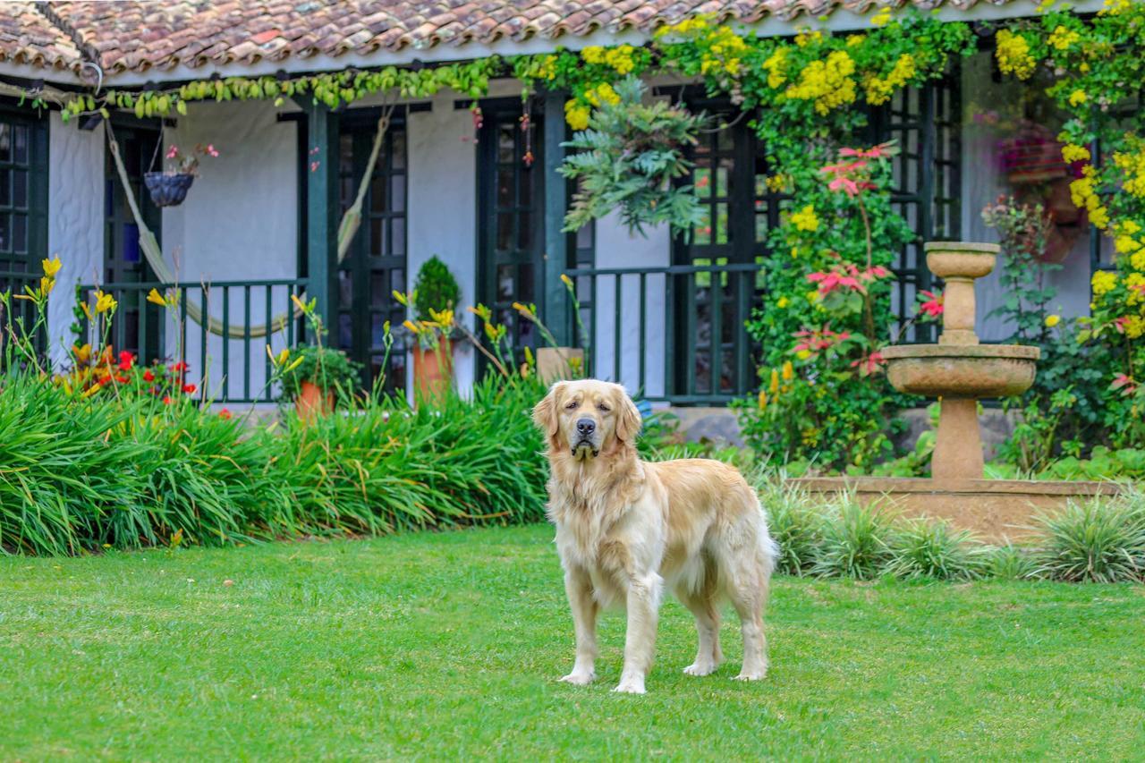 Casa San Nicolas ビージャ・デ・レイバ エクステリア 写真